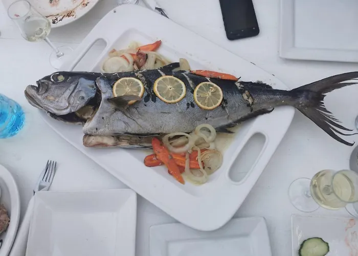 מלון Dream סטרה זגורה