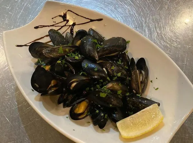 Dream * סטרה זגורה